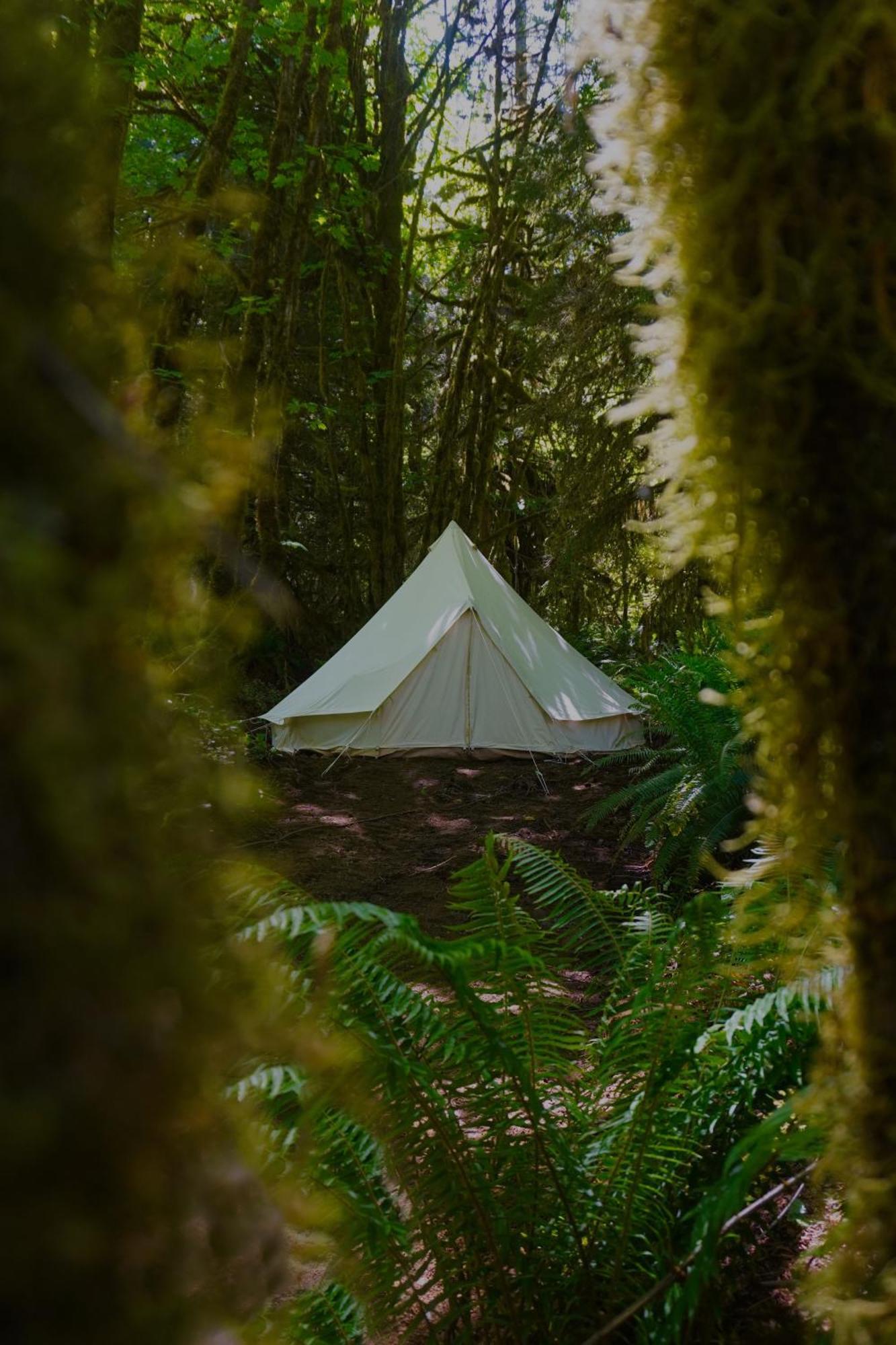 Wander Camp Olympic Hotel Port Angeles Exterior photo